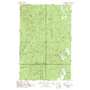 Wynoochee Valley Nw USGS topographic map 47123b6