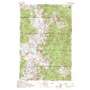 Mount Queets USGS topographic map 47123g5