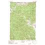 Mount Angeles USGS topographic map 47123h4