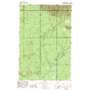 Thimble Mountain USGS topographic map 47124d1