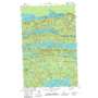 Pine Lake West USGS topographic map 48090a2