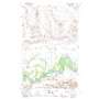 Flynn Creek South USGS topographic map 48105a7