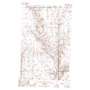 Forks USGS topographic map 48107f4