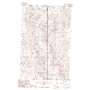 Thoeny Hills East USGS topographic map 48107h3