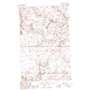 Horseshoe Lake USGS topographic map 48108g1