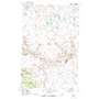 Big Rock USGS topographic map 48113d1