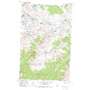 Mount Jackson USGS topographic map 48113e6