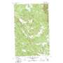 Fortine USGS topographic map 48114g8