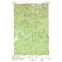 Wylie Knob USGS topographic map 48116d3