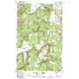 Forest Center USGS topographic map 48117a7