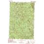 Strawberry Mountain USGS topographic map 48118d8