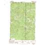 Independent Mountain USGS topographic map 48118h3