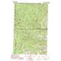 Buckhorn Mountain USGS topographic map 48118h8