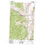 Loomis USGS topographic map 48119g6