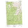 Cooper Mountain USGS topographic map 48120a1