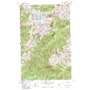 Downey Mountain USGS topographic map 48121c2