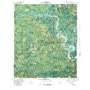 Richmond Hill USGS topographic map 31081h3