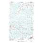 Lindford Sw USGS topographic map 48093c8