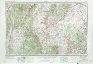 Salina topographical map