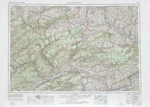 Williamsport topographical map