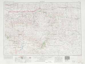 Martin topographical map