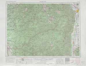 Hamilton topographical map