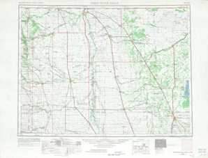 Thief River Falls topographical map